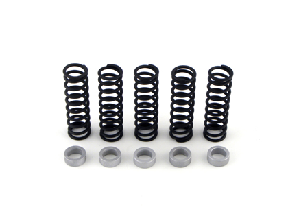 Clutch Spring W/.28in Thick Spacer Kit
