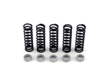 Clutch Spring W/.28in Thick Spacer Kit