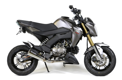 ShortMeg Full System