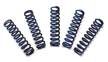 Replacement Clutch Spring Kit