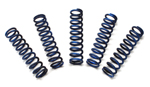 Replacement Clutch Spring Kit